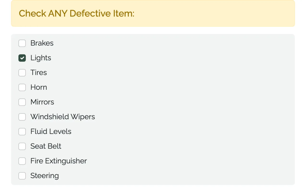 Inspection checklist with one item marked as a defect